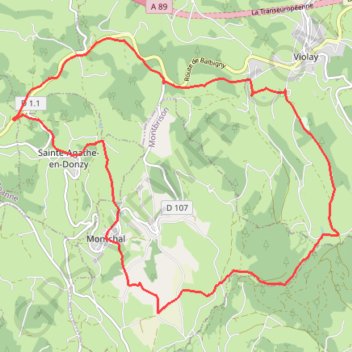Itinéraire Montagnes du Matin - Sainte-Agathe-en-Donzy, distance, dénivelé, altitude, carte, profil, trace GPS