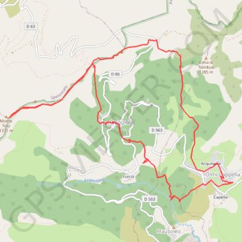 Itinéraire Boucle Monte Tolu Olmi (chene), distance, dénivelé, altitude, carte, profil, trace GPS