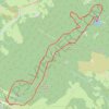 Itinéraire Raquettes vers la Tête des Faux - Orbey, distance, dénivelé, altitude, carte, profil, trace GPS