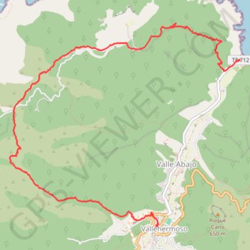 Itinéraire Du village de Vallehermoso -la plage-Village de Vallehermoso, distance, dénivelé, altitude, carte, profil, trace GPS