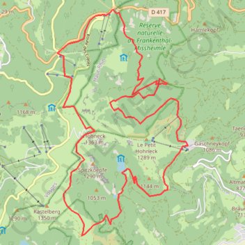 Itinéraire Sentier des Roches, de la Bloye, des Névés, distance, dénivelé, altitude, carte, profil, trace GPS