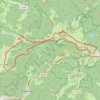 Itinéraire Todtnauberg (Rütte), Feldberg, Todtnauberg, distance, dénivelé, altitude, carte, profil, trace GPS